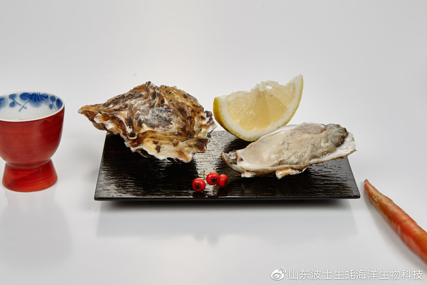 生吃生蚝怎么预防寄生虫,生蚝里的寄生虫吃什么药