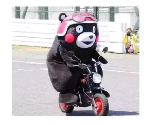 2019年生育险报销标准是多少,生育险报销标准2020怎么买生育险