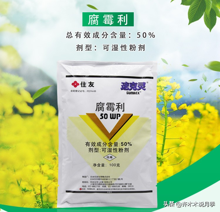 月季病害通用药,月季病害的必备药物