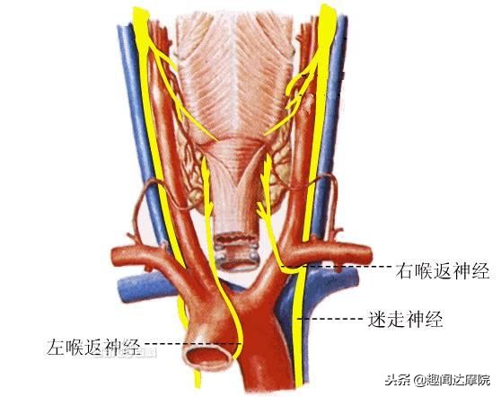 人体有七大弱点在哪里,人体缺陷的十大原因
