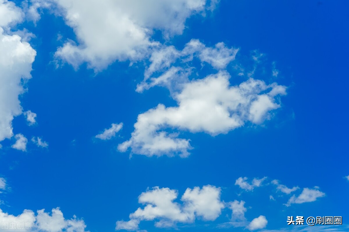 六年级作文一单元变形记范文,六上第一单元作文变形记优秀范文