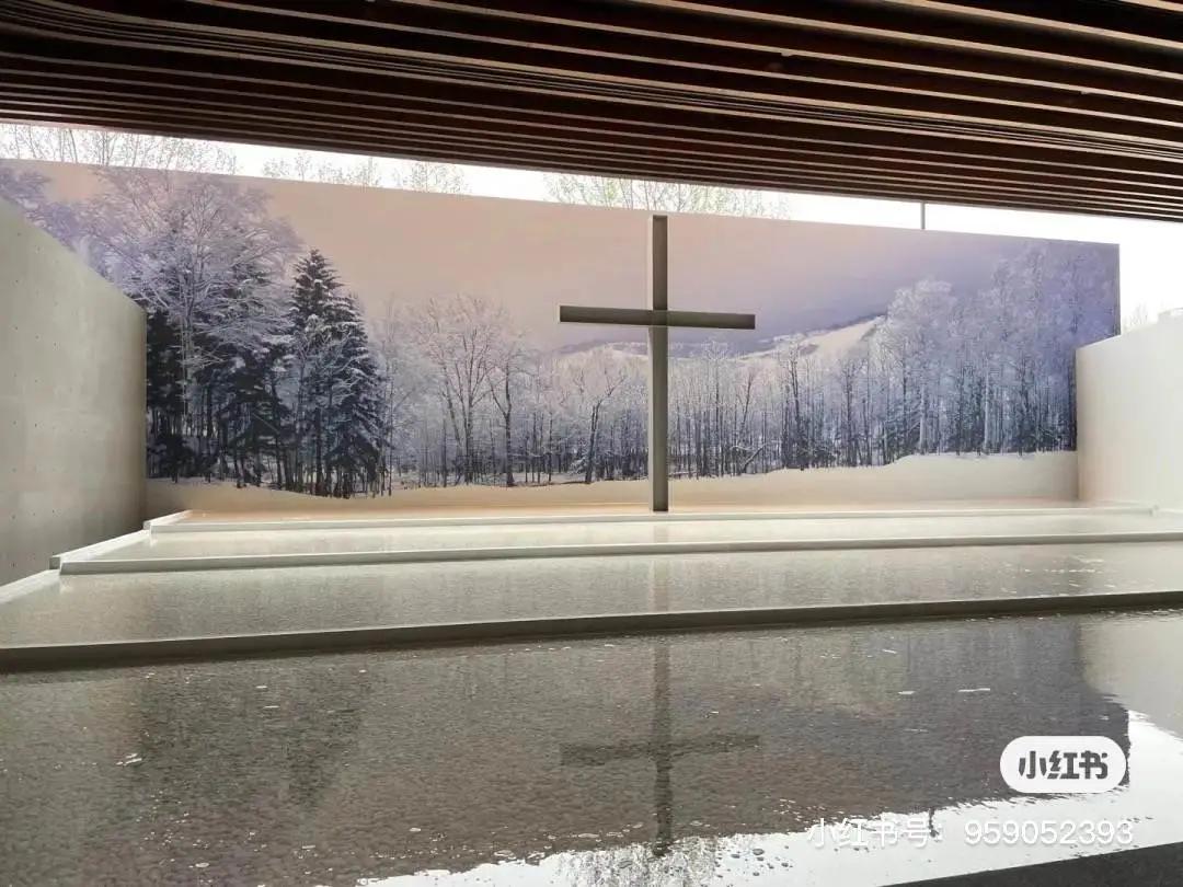 *光春**所剩无几，快，去漫步吧