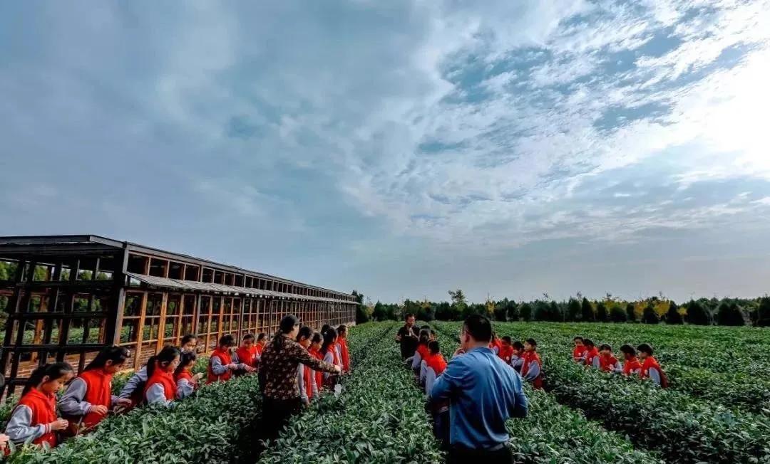 沙滩露营音乐会,阳光沙滩露营音乐会