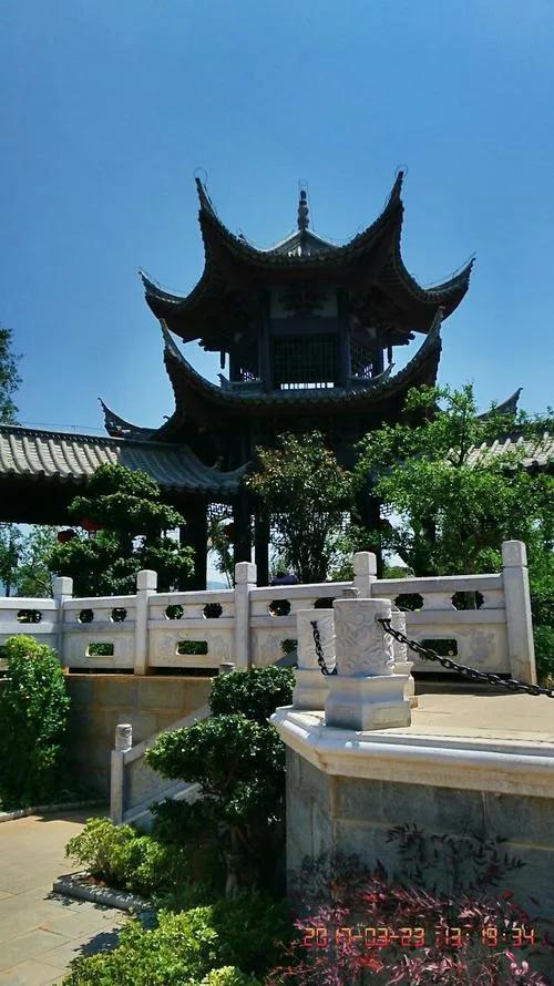 红色宝石树图片,红色宝石