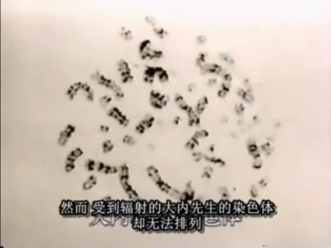 日本工人核辐射全身腐烂,日本工人核辐射事件