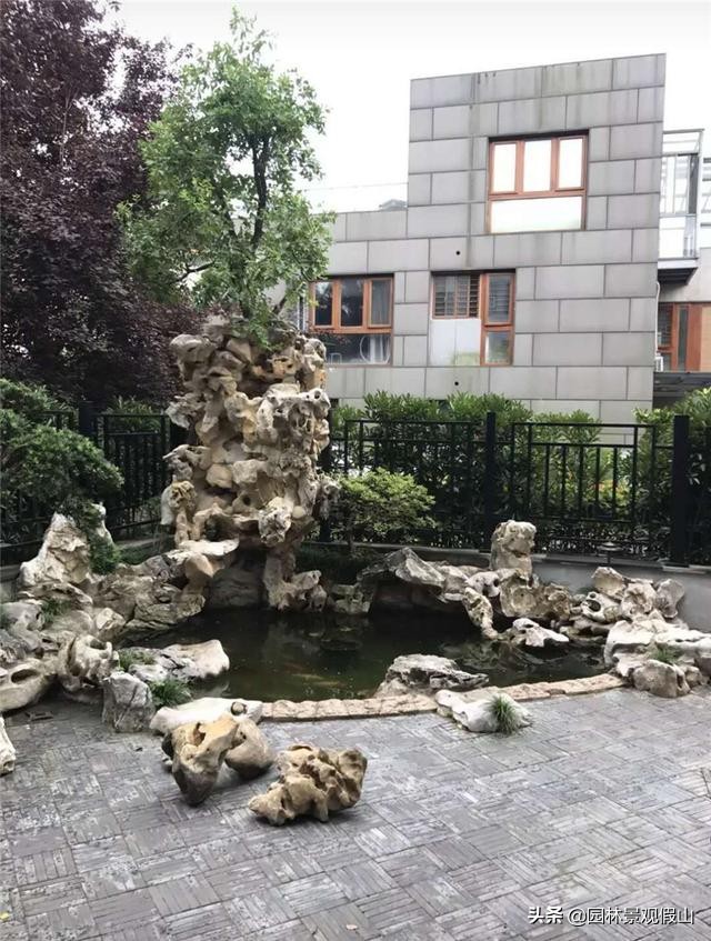 盆景假山用什么草点缀,室内景观假山鱼池绿化