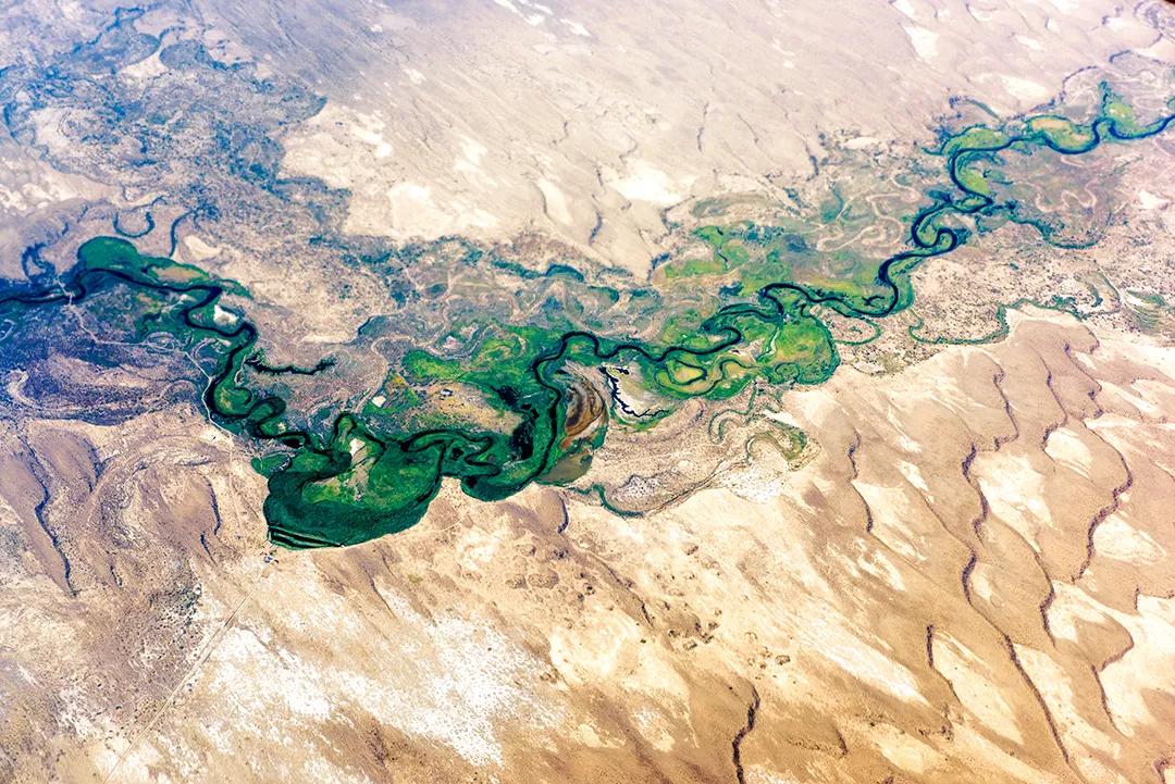 新疆塔里木大沙漠风景,除了沙漠树森林树还有什么