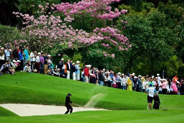 最好的欧洲篮球俱乐部,最好的俱乐部是哪个俱乐部