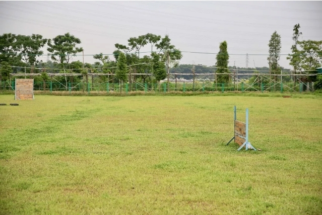 可以去玩的宠物乐园,1000平宠物乐园