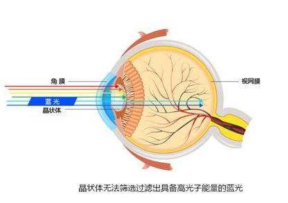 便宜的防蓝光眼镜有用吗,老花眼镜远近两用防蓝光39元二副