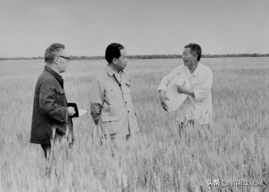 李立科陕西,李立科陕西省农业学校