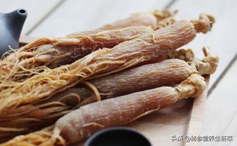 人参皂苷的功效与作用的说明书,人参皂苷的正确吃法