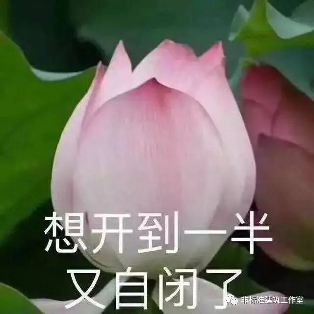 哼！别以为建筑师脸大，就不会翻脸