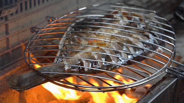 鱼控要疯了~光靠颜值就已经圈粉无数