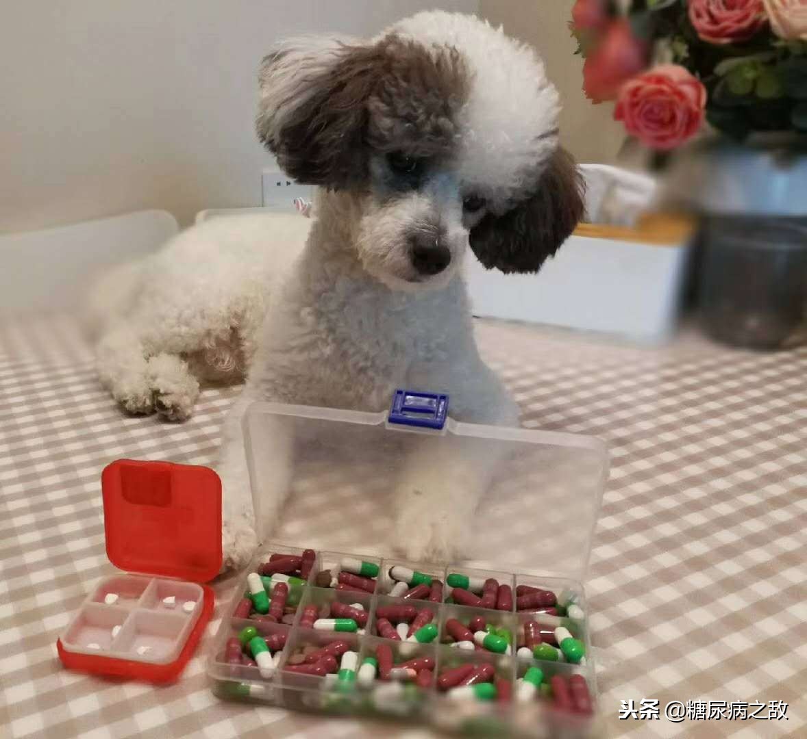 适合糖尿病人旅行的食物,适合糖尿病患者的旅行