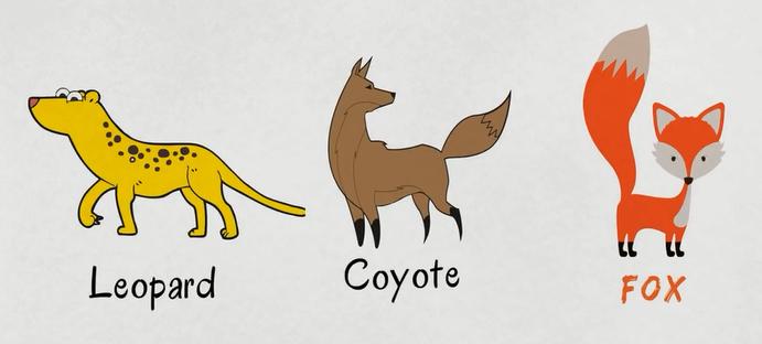 常见动物英语词汇大全,英语常见词汇大全表