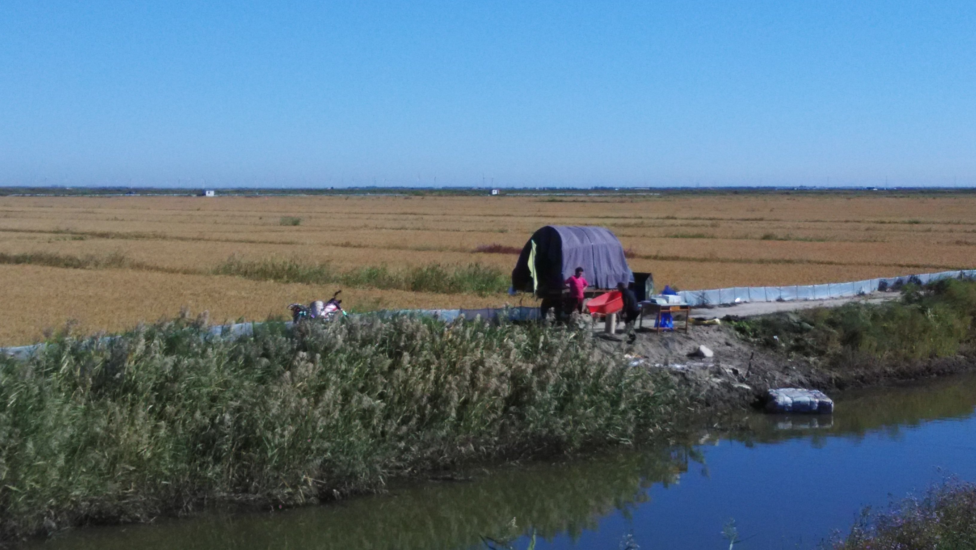 北京的北边有片红红的海北京很多人都没有去过