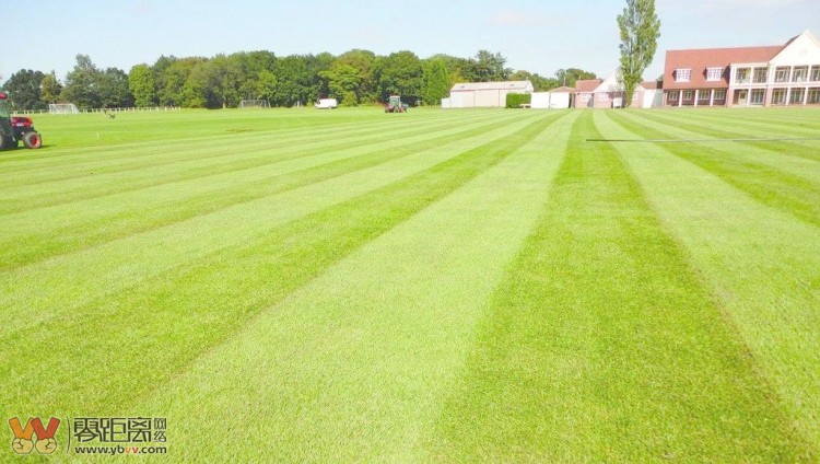 夕阳下的足球场风景照,诗与远方风景画