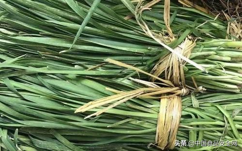 韭菜中检出镉超标，什么因素导致？哪些食材能助力重金属元素排出体外？