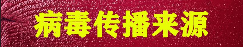 养蚕蚕虫病怎么治,养蚕病害