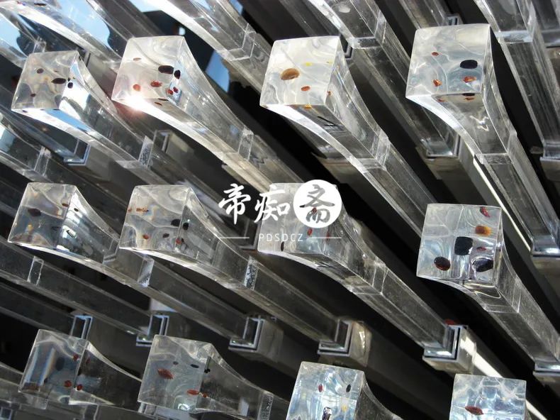 海底世界大战视频大全,富国海底世界海狮表演