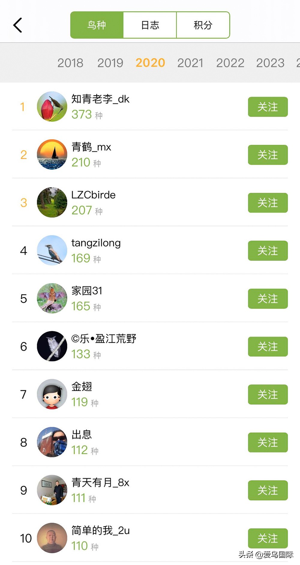 观鸟大年影片,观鸟大年在线观看