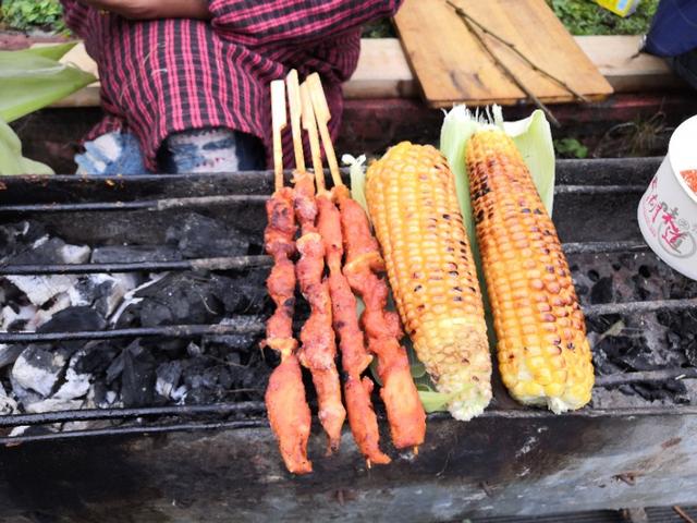 大美川西贡嘎燕子沟,甘孜燕子沟二日游攻略