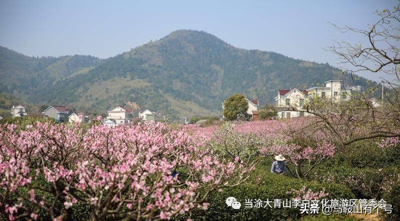 马鞍山5a景区,马鞍山旅游区排名
