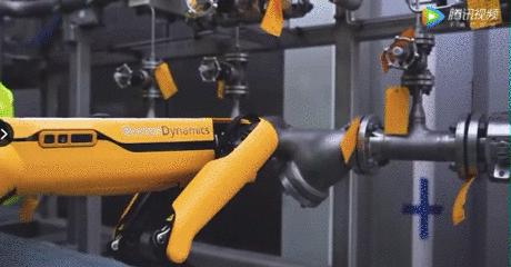 50万一只的波士顿机器狗,中国购买的波士顿机器狗