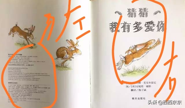 绘本教育的价值与创新,绘本教育意义爱的延续