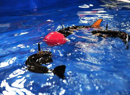 十大最强的铁甲机器人,铁甲格斗大赛最厉害的机器人