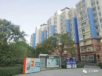 朝阳群众最新动态,朝阳群众辉煌战绩