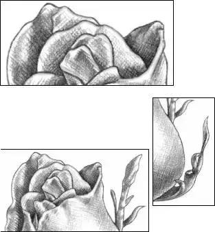 一幅素描玫瑰画如何加彩,玫瑰花束素描图片