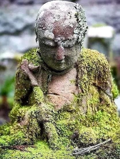 人活一辈子不得不学会这六条心计,看淡人生心无城府