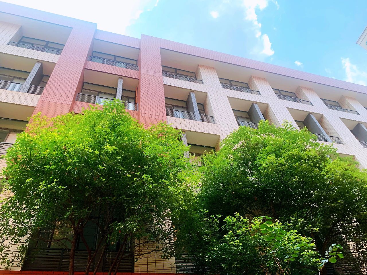 金中新校区,金中岱山教育集团
