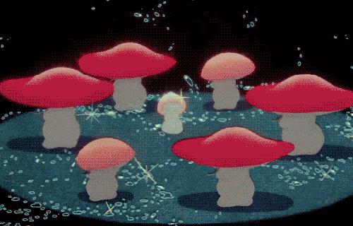 天气潮湿蘑菇长霉了怎么办,梅雨季节房间墙壁长霉怎么处理