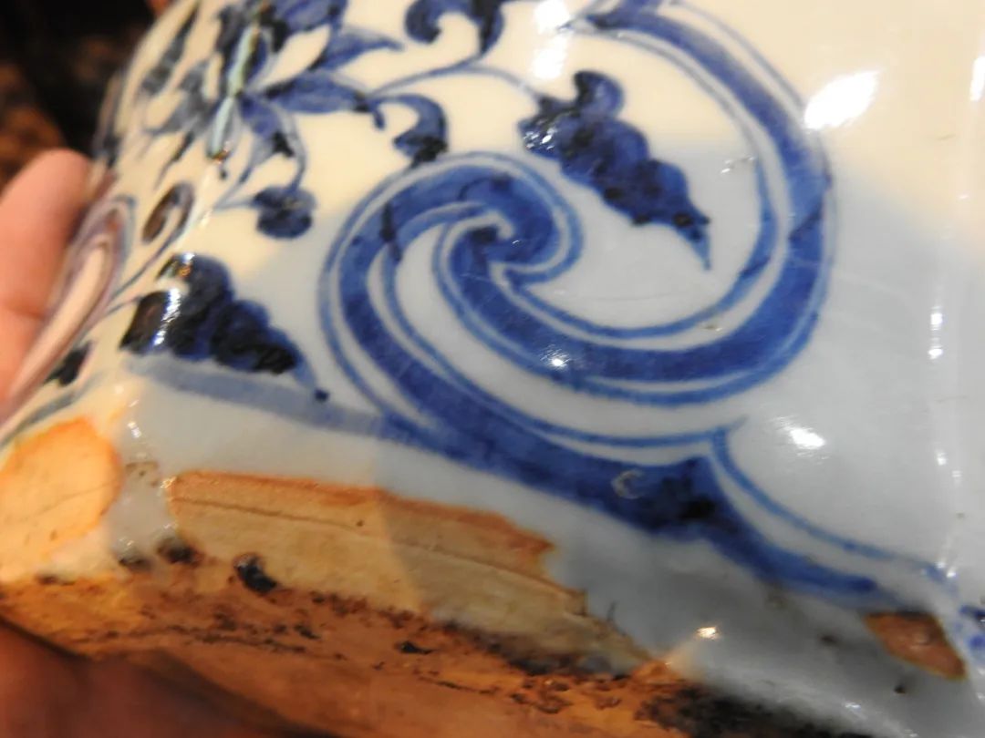 鍏冮潚鑺卞寽鐪熷搧鐗瑰緛,姘戠獞鍏冮潚鑺辩鐗瑰緛