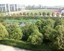 魅丽宜城美丽宜城一中