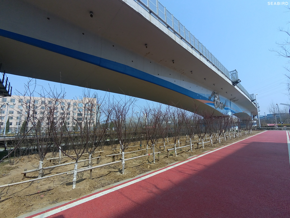 水下摄影4k,海鸟4k运动相机深度评测