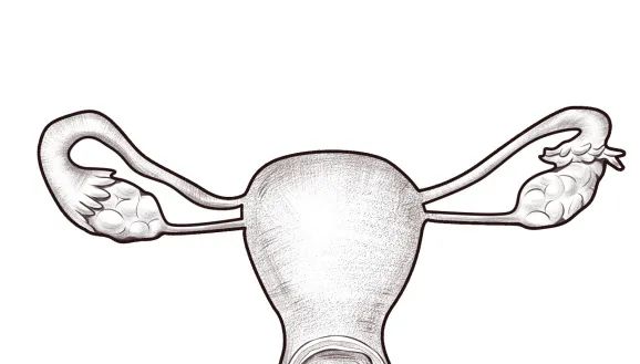 子宫内什么管短容易流产,子宫特别小还有必要治疗吗