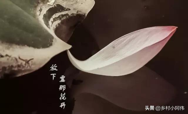 佛教十大聪颖故事,看懂即开悟最经典的20个佛家故事