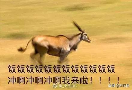 杭马半马难跑,杭马半马起跑时间