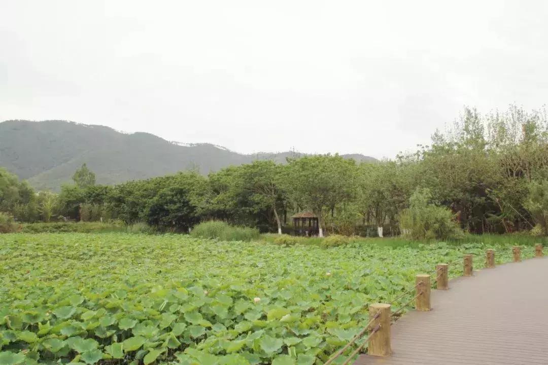 凉山州西昌市邛海湿地公园之旅,西昌邛海阳光康养基地视频