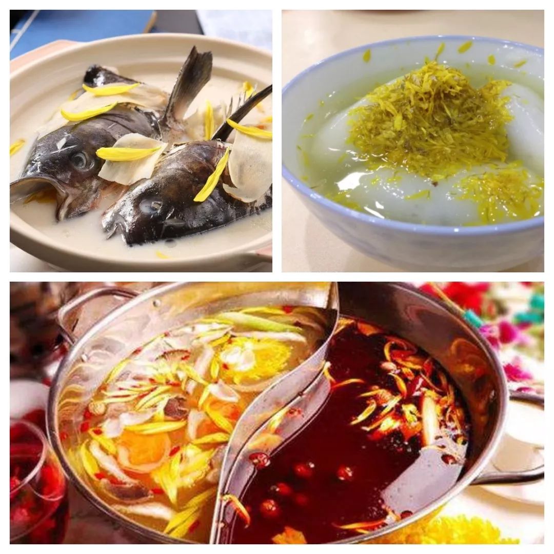 2019小榄菊花展美食街在哪,小榄菊花展门票免费