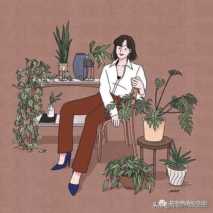送给妈妈的手工花康乃馨,母亲节送妈妈什么颜色康乃馨