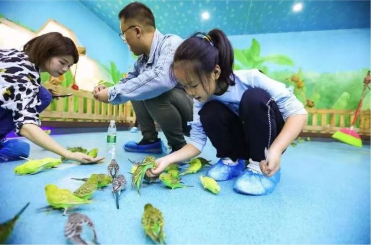 新春打卡重庆香水百合网红艺术节，坐小火车、玩玻璃滑道...