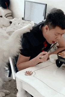 搞笑gif开心一刻,搞笑gif爱情来得太突然了
