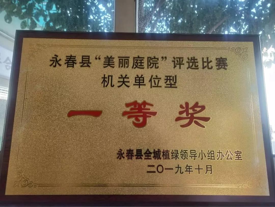 永春县桃溪实验小学2022年招生,永春县桃溪实验小学怎么样