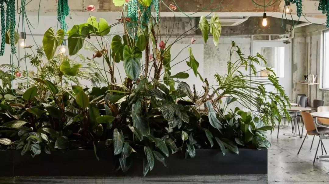 自己去韩国买便宜还是代购便宜,去韩国代购怎么走便宜