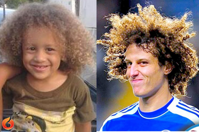 狐说球事范迪克完整版,狐说球事件最新消息